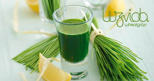 Luzvida Wheatgrass