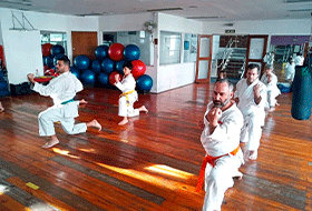 Dojo Ken - Karate y Kobudo Okinawense