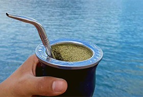 Mate Andes